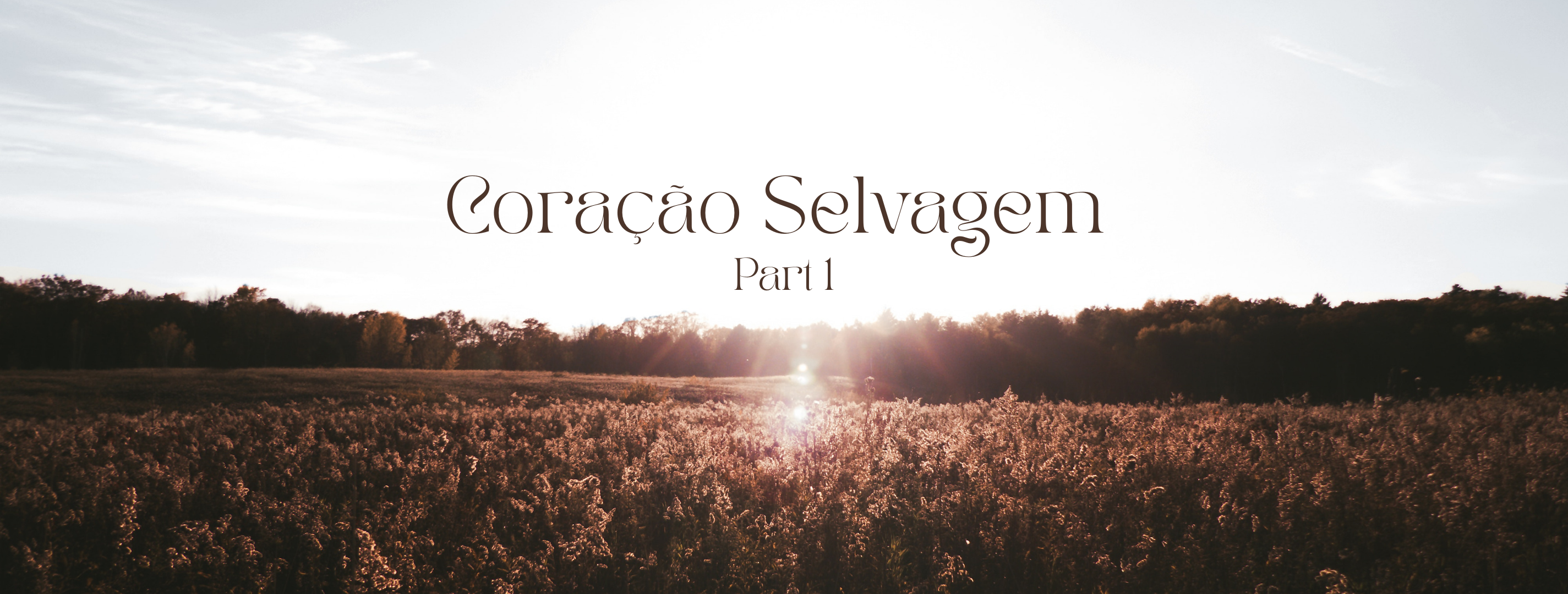 Coração Selvagem