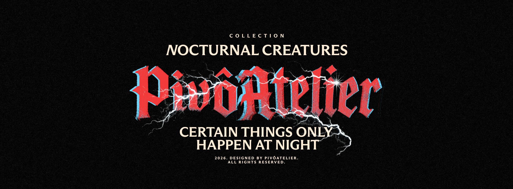 NOCTURNAL CREATURES