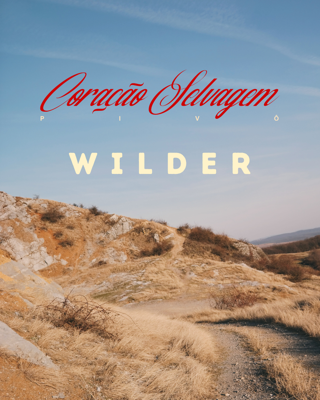 WILDER